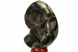 Septarian Dragon Egg Geode - Black Crystals #118730-2